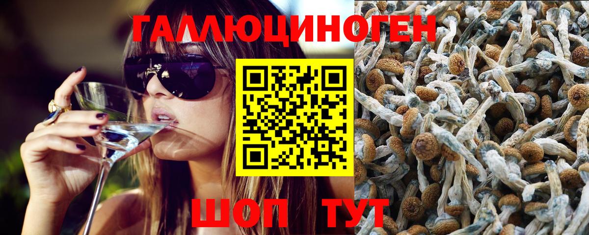 Псилоцибиновые грибы мухоморы  Псилоцибиновые грибы прущие грибы  Фурманов  Вход с VPN 