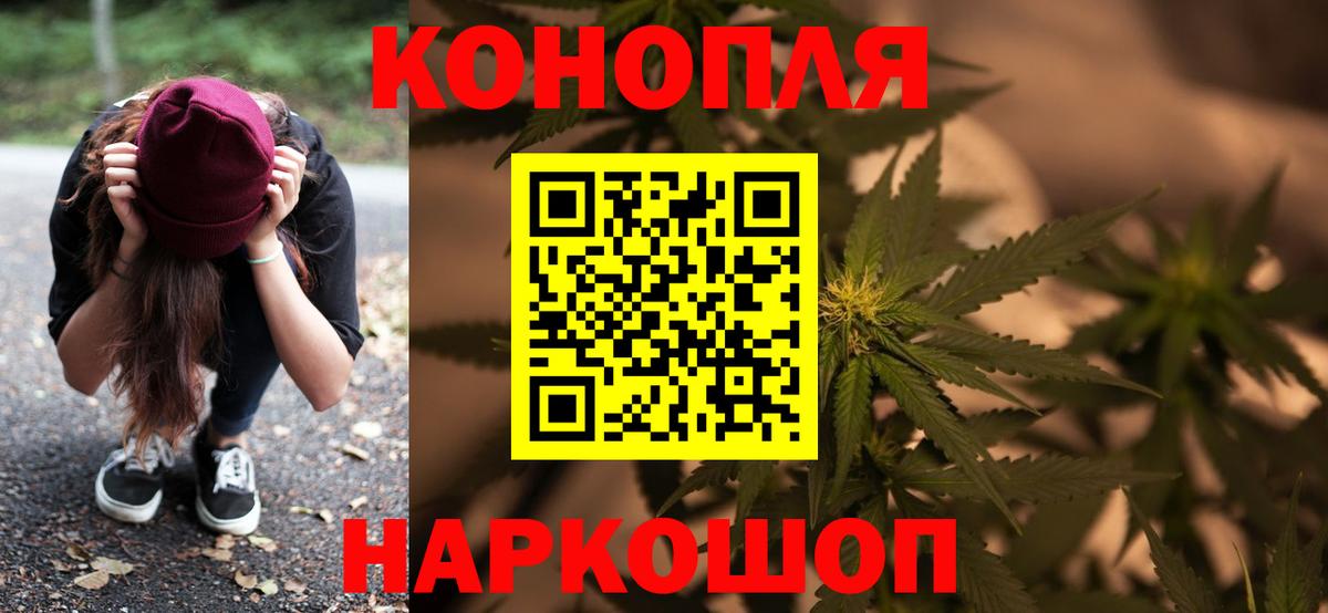 Каннабис сатива Фурманов